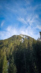 A scenic view of a mountain partially covered in snow surrounded by lush green trees under a blue sky