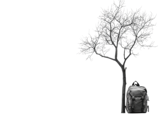 A minimalist composition featuring a barren tree and a stylish black backpack, evoking a sense of solitude and exploration.