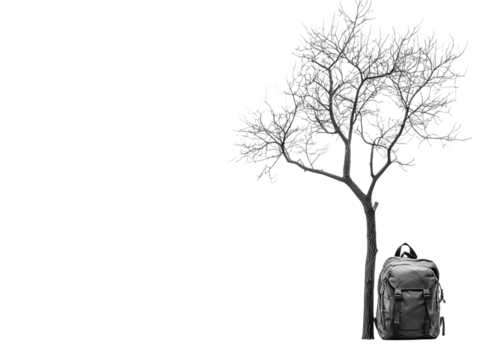 A minimalist composition featuring a barren tree and a stylish black backpack, evoking a sense of solitude and exploration.