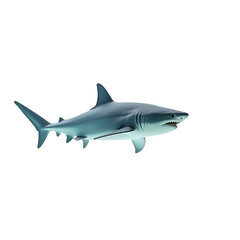 Obraz premium Great white shark underwater marine predator ocean animal dangerous teeth fish on transparent background