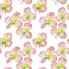 Pink and Yellow Alstroemeria Seamless Pattern: Elegant Watercolour Floral Design for Spring Fabrics, Subtle Wall Decor and Artistic Product Styling. 