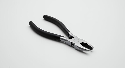 Obraz premium Needle nose pliers image