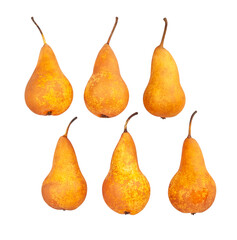 pear path isolated on white