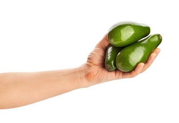 long avocado in hand path isolated on white