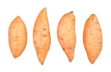 sweet potato path isolated on white