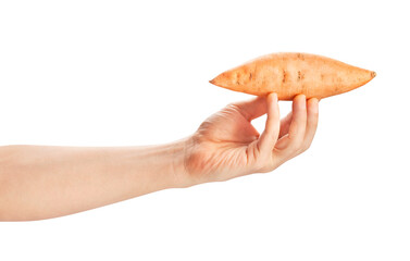 sweet potato in hand path isolated on white