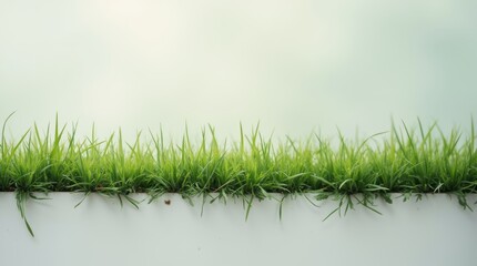 Grass stains on a white field line, blurred background, emphasizing contrast and natural texture.

