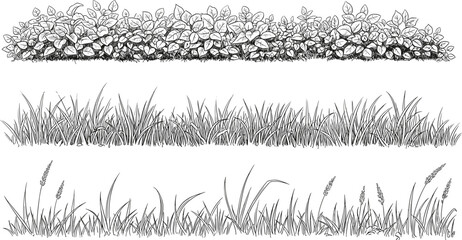 set of forest line cad, minimal isolated on white background. Ground cover. Illustration for elevation architectural element, side view, grass section. Turf coating banners for edging.
