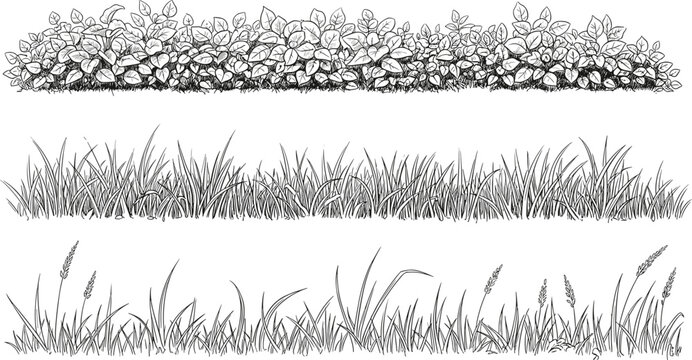 set of forest line cad, minimal isolated on white background. Ground cover. Illustration for elevation architectural element, side view, grass section. Turf coating banners for edging.