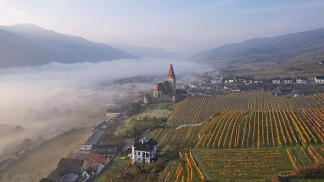 Aerial panorama of Weisenkirchen in der Wachau town and vineyards at autumn morning with fog over Danube river. Wachau valley, Austria.