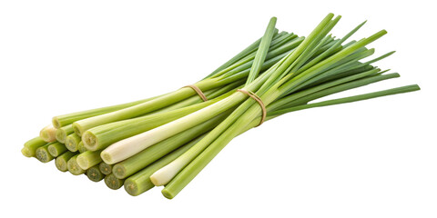 Fototapeta premium Fresh Lemongrass Stalks Bundle, Isolated on Transparent Background, Culinary Herb, Asian Cuisine, Lemongrass, Herbs, Food