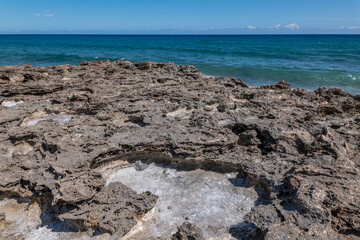 Calcareous reef rock and marine sediment (Pleistocene), Chiefly emerged coral reefs. Kaʻena Point Trail（North), Oahu Hawaii.  Salt weathering / haloclasty, Tafoni	