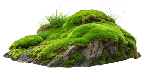 Lush Mossy Rock Formation, Isolated on Transparent Background, Nature Scene, 3D Render, Moss, Rock, Nature