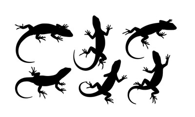 Set Bundle of Creative Silhouette Illustrations Featuring Lizards in Various Dynamic Poses for Educational and Artistic Projects