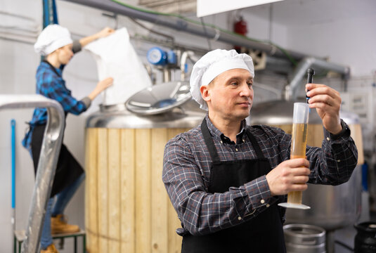 Caucasian man brewer using alcoholometer to indicate alcoholic strength of beer.
