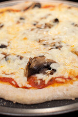 Close‑up of whole‑wheat pizza with melted mozzarella and mushrooms. Homemade whole‑wheat pizza with mozzarella and mushrooms on tray.