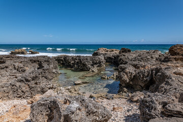 Calcareous reef rock and marine sediment (Pleistocene), Chiefly emerged coral reefs, Reefs consist of coral heads and coralline algae cemented by a lime matrix. Kaʻena Point Trail（North), Oahu Hawaii.