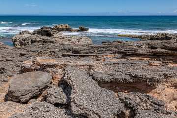 Calcareous reef rock and marine sediment (Pleistocene), Chiefly emerged coral reefs, Reefs consist of coral heads and coralline algae cemented by a lime matrix. Kaʻena Point Trail（North), Oahu Hawaii.