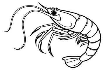 Minimal Shrimp Sea Animal Line Drawing