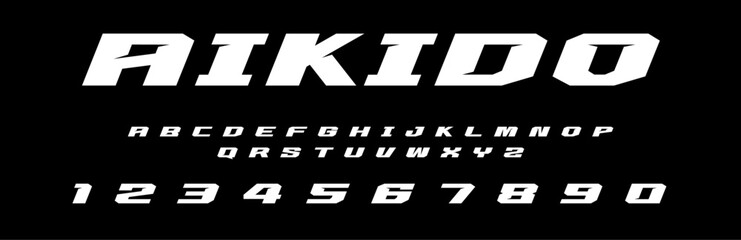 Aikido lettering vector graphic fight apparel clothing prints eps svg png. Typography Fonts graphics designs posters stickers. Download it Now in high resolution format and print it in any size