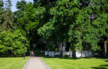 Fototapety na wymiar - Fototapeta24.pl