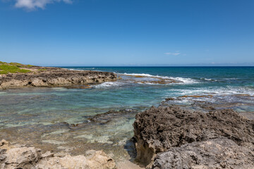 Calcareous reef rock and marine sediment (Pleistocene), Chiefly emerged coral reefs, Reefs consist of coral heads and coralline algae cemented by a lime matrix. Kaʻena Point Trail（North), Oahu Hawaii.