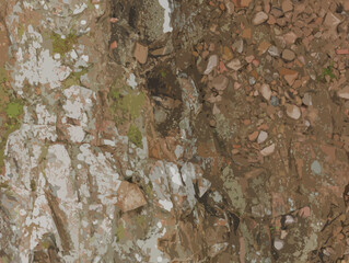 Scattered rocks