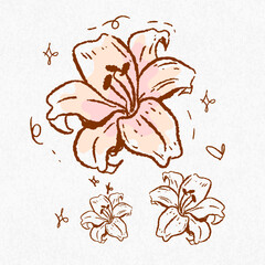 Hand Drawn Lilly Flower Bouquet Illustration – Vintage Botanical Line Art, Whimsical Floral Clipart for Prints, Invitations, and Decor, Etching Style, Fine Lines, Rustic Aesthetic, Coquette Design