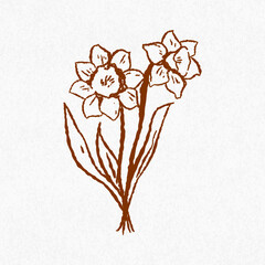 Hand Drawn Daffodils Flower Bouquet Illustration – Vintage Botanical Line Art, Whimsical Floral Clipart for Prints, Invitations, and Decor, Etching Style, Fine Lines, Rustic Aesthetic, Coquette Design