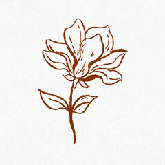 Hand Drawn Magnolia Flower Bouquet Illustration – Vintage Botanical Line Art, Whimsical Floral Clipart for Prints, Invitations, and Decor, Etching Style, Fine Lines, Rustic Aesthetic, Coquette Design