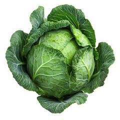 Fototapeta premium Fresh green cabbage isolated on a transparent background