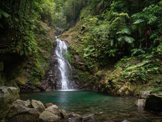 Obraz premium Lush, green tropical rainforest waterfall cascading into a tranquil, clear pool. Rocks surround the pool's edge
