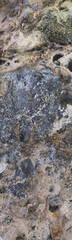 Large vertical shot of Weathered Rock Texture Background..Great for stock use in survival themes, post-apocalyptic concepts, or geological studies. Natural erosion and mineral-rich tones.