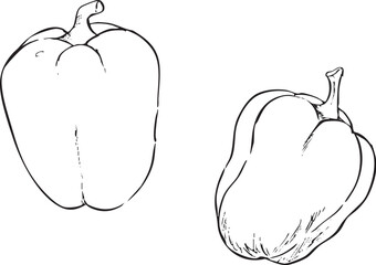 パプリカ　手描き線画