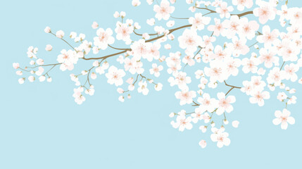 Fototapeta premium Minimal vector background with cherry blossom branches and light blue copy space for design