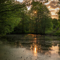A sunset view overlooking the lake
