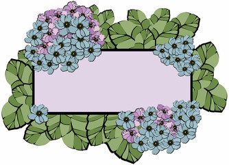 hydrangea flowers frame