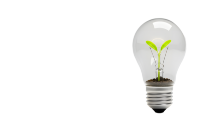Light bulb with green seedlings growing inside representing transparency concept  