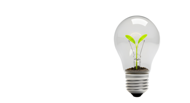 Light bulb with green seedlings growing inside representing transparency concept  