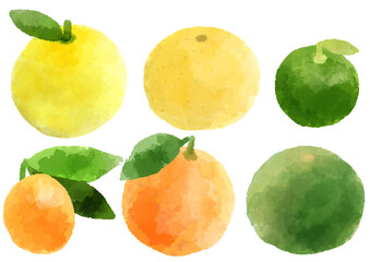 柑橘類　アイコン　イラスト　手描き　水彩風