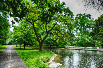 Pond and road in the park
