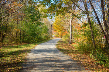 Deserted footpath lined with colourful autumnal trees on a sunny morning