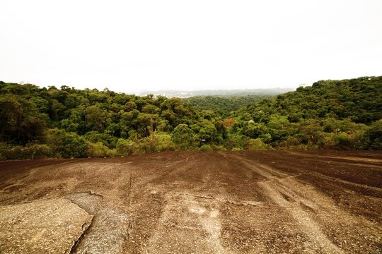 Pedra grande e vista de uma floresta e cidade ao fundo. 