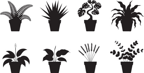 Vector silhouette collection of eight various potted houseplants in black and white for design use