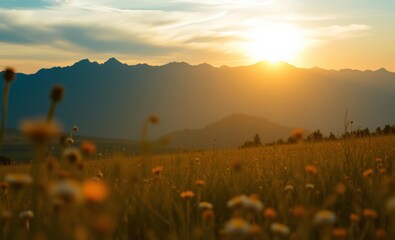 As the sun dipped below the horizon casting a golden glow over the landscape the air was filled with the sweet scent of wildflowers and the distant hum of crickets as open fields stretched out befor
