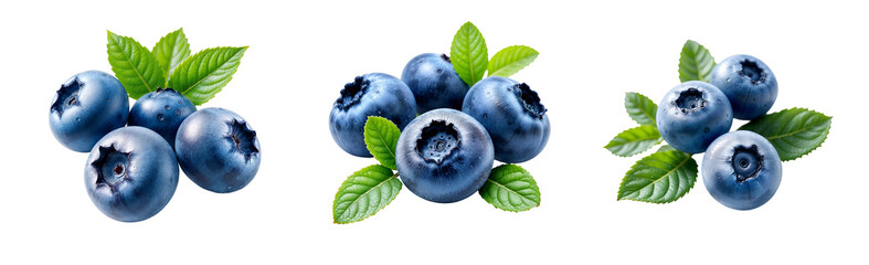 Obraz premium Set of various blueberries isolated on transparent background