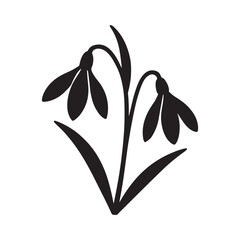 Snowdrop Flower Silhouette Botanical Illustration