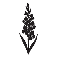 Gladiolus Flower Silhouette A Botanical Illustration