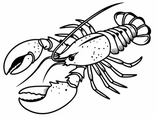 Detailed Line Drawing of a Lobster A Freehand Illustration