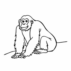 Obraz premium Chimpanzee Line Drawing Simple Illustration of a Primate